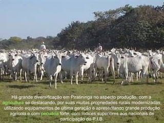 Há grande diversificação em Piratininga no aspecto produção, com a  agricultura  se destacando, por suas muitas propriedades rurais modernizadas, utilizando equipamentos de última geração e apresentando grande produção agrícola e com  pecuária  forte, com índices superiores aos nacionais de participação do P.I.B. 