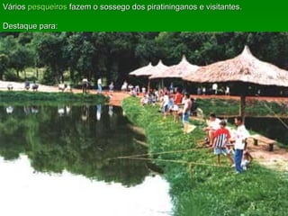 Vários  pesqueiros  fazem o sossego dos piratininganos e visitantes. Destaque para: 