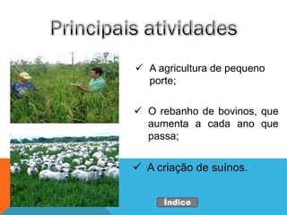  A agricultura de pequeno
  porte;

 O rebanho de bovinos, que
  aumenta a cada ano que
  passa;


 A criação de suínos.


     Índice
 