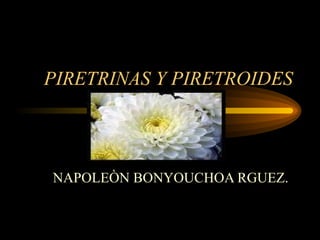 PIRETRINAS Y PIRETROIDES NAPOLEÒN BONYOUCHOA RGUEZ. 