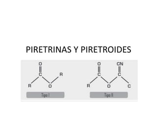 PIRETRINAS Y PIRETROIDES
 