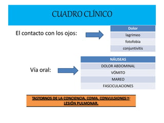 El contacto con los ojos:
Vía oral:
CUADROCLÍNICO
Dolor
lagrimeo
fotofobia
conjuntivitis
NÁUSEAS
DOLOR ABDOMINAL
VÓMITO
MAREO
FASCICULACIONES
TASTORNOS DE LA CONCIENCIA, COMA, CONVULSIONES Y
LESIÓN PULMONAR.
 