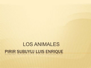 LOS ANIMALES
PIRIR SUBUYUJ LUIS ENRIQUE
 