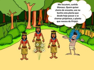 Me escutem, cunhãs
Manaus. Quem quiser
cheiro de encanto, use no
banho esta planta que
desde hoje passar a se
chamar piripirioca, a planta
que nasceu de Piripiri.
 
