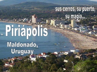 Piriápolis sus cerros, su puerto,  su magia... Maldonado, Uruguay 
