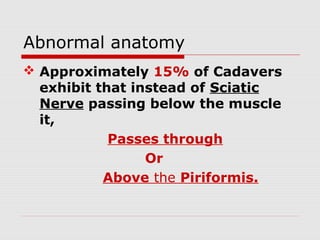 Abnormal anatomy
 Approximately 15% of Cadavers
exhibit that instead of Sciatic
Nerve passing below the muscle
it,
Passes through
Or
Above the Piriformis.
 
