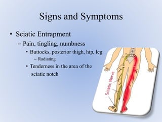• Sciatic Entrapment
– Pain, tingling, numbness
• Buttocks, posterior thigh, hip, leg
– Radiating
• Tenderness in the area of the
sciatic notch
Signs and Symptoms
 