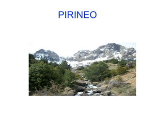 PIRINEO
 