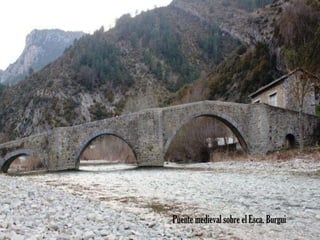 Puente medieval sobre el Esca. Burgui 