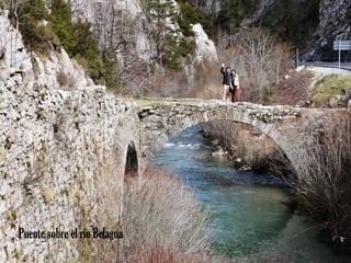 Puente sobre el río Belagua 