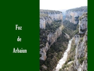 Foz  de Arbaiun 