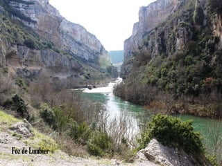 Foz de Lumbier 