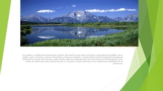 Las salidas en splitboard primaverales siempre dan mucho juego; días mas largos, temperatura agradable, nieve
estable, polvo en altura y sesiones divertidas con buena compañía. Cuando llevas un buen bagaje de jornadas de
splitboard a lo largo del invierno y sabes donde están las acumulaciones de nieve basta una mirada liguera a los
partes de meteo para saber donde hay que ir y sacarle el mayor provecho a las condiciones cambiantes de la
primavera.
 