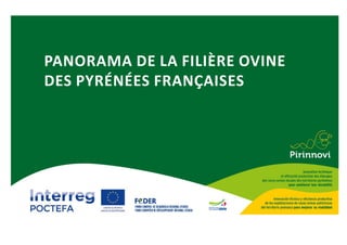 PANORAMA DE LA FILIÈRE OVINE
DES PYRÉNÉES FRANÇAISES
 