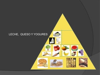 LECHE,  QUESO Y YOGURES