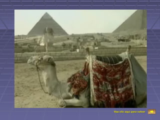 Haz clic aquí para volver
 