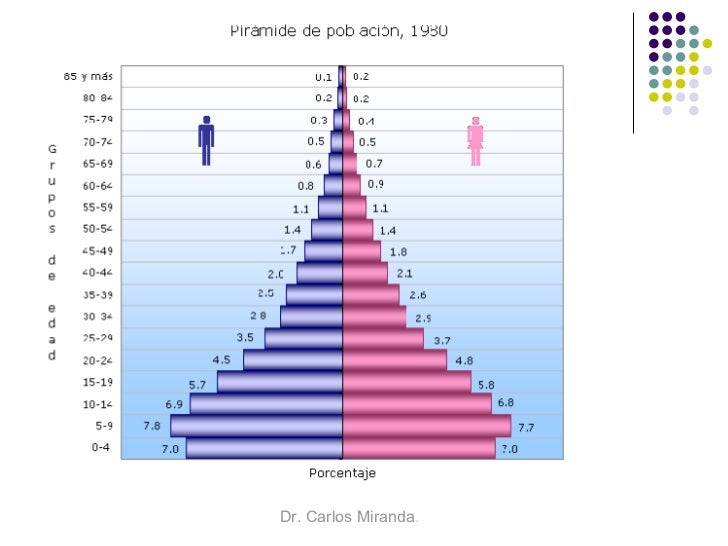 Piramides De Poblacion Mexico