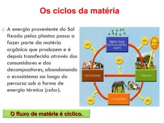 Os ciclos da matéria




O fluxo de matéria é cíclico.
 