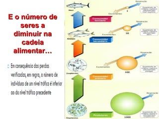E o número de
    seres a
 diminuir na
    cadeia
 alimentar…
 