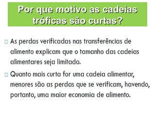 Por que motivo as cadeias
   tróficas são curtas?
 