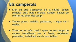 ● Eren els que s’ocupaven de la collita, solien
sembrar ordi, blat i userda. També havien de
revisar les eines del camp.
● Tenien porcs, vedells, pollastres, i algun xai i
ovella.
● Vivien en el món rural i quan no era temps de
conreu treballaven per al faraó, construint
piràmides, treballant en els seus tallers.
Els camperols
 
