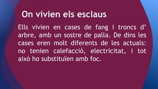 Ells vivien en cases de fang i troncs d’
arbre, amb un sostre de palla. De dins les
cases eren molt diferents de les actuals:
no tenien calefacció, electricitat, i tot
això ho substituïen amb foc.
On vivien els esclaus
 