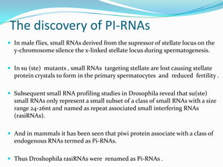 The discovery of PI-RNAs
 In male flies, small RNAs derived from the supressor of stellate locus on the

y-chromosome silence the x-linked stellate locus during spermatogenesis.
 In su (ste) mutants , small RNAs targeting stellate are lost causing stellate

protein crystals to form in the primary spermatocytes and reduced fertility .
 Subsequent small RNA profiling studies in Drosophila reveal that su(ste)

small RNAs only represent a small subset of a class of small RNAs with a size
range 24-26nt and named as repeat associated small interfering RNAs
(rasiRNAs).
 And in mammals it has been seen that piwi protein associate with a class of

endogenous RNAs termed as Pi-RNAs.
 Thus Droshophila rasiRNAs were renamed as Pi-RNAs .

 