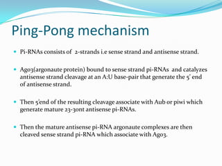Ping-Pong mechanism
 Pi-RNAs consists of 2-strands i.e sense strand and antisense strand.
 Ago3(argonaute protein) bound to sense strand pi-RNAs and catalyzes

antisense strand cleavage at an A:U base-pair that generate the 5’ end
of antisense strand.
 Then 5’end of the resulting cleavage associate with Aub or piwi which

generate mature 23-30nt antisense pi-RNAs.
 Then the mature antisense pi-RNA argonaute complexes are then

cleaved sense strand pi-RNA which associate with Ago3.

 