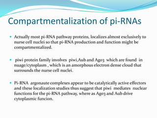 Compartmentalization of pi-RNAs
 Actually most pi-RNA pathway proteins, localizes almost exclusively to

nurse cell nuclei so that pi-RNA production and function might be
compartmentalized.
 piwi protein family involves piwi,Aub and Ago3 which are found in

nuage/cytoplasm , which is an amorphous electron dense cloud that
surrounds the nurse cell nuclei.
 Pi-RNA argonaute complexes appear to be catalytically active effectors

and these localization studies thus suggest that piwi mediates nuclear
functions for the pi-RNA pathway, where as Ago3 and Aub drive
cytoplasmic funcion.

 