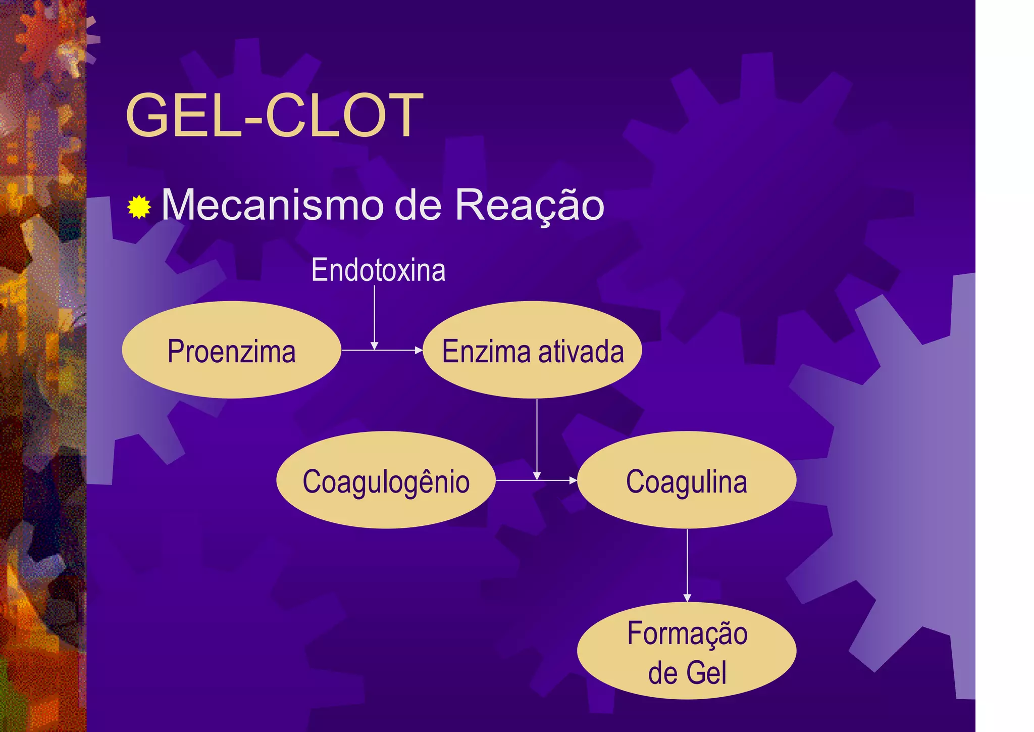 GEL-CLOT
 Mecanismo de Reação
Proenzima Enzima ativada
Coagulogênio Coagulina
Formação
de Gel
Endotoxina
 