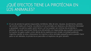 ¿QUÉ EFECTOS TIENE LA PIROTÉCNIA EN
LOS ANIMALES?
 El uso de pirotecnia genera taquicardia, temblores, falta de aire, náuseas, aturdimiento, pérdida
de control, miedo y/o muerte. Los efectos en los animales son diversos y de diferente intensidad
y gravedad. Los perros suelen sentir temor y al huir pueden ser víctimas de accidentes o
perderse. Las aves reaccionan frente a los estruendos con taquicardias que pueden provocarles
la muerte; los gatos suelen correr detrás de los explosivos por simple curiosidad pudiendo
ingerirlos, perder la vista o lesionarse; los insectos y otros animales pequeños poco pueden hacer
para no ser dañados, la pirotecnia es para ellos un explosivo de gran tamaño.
 