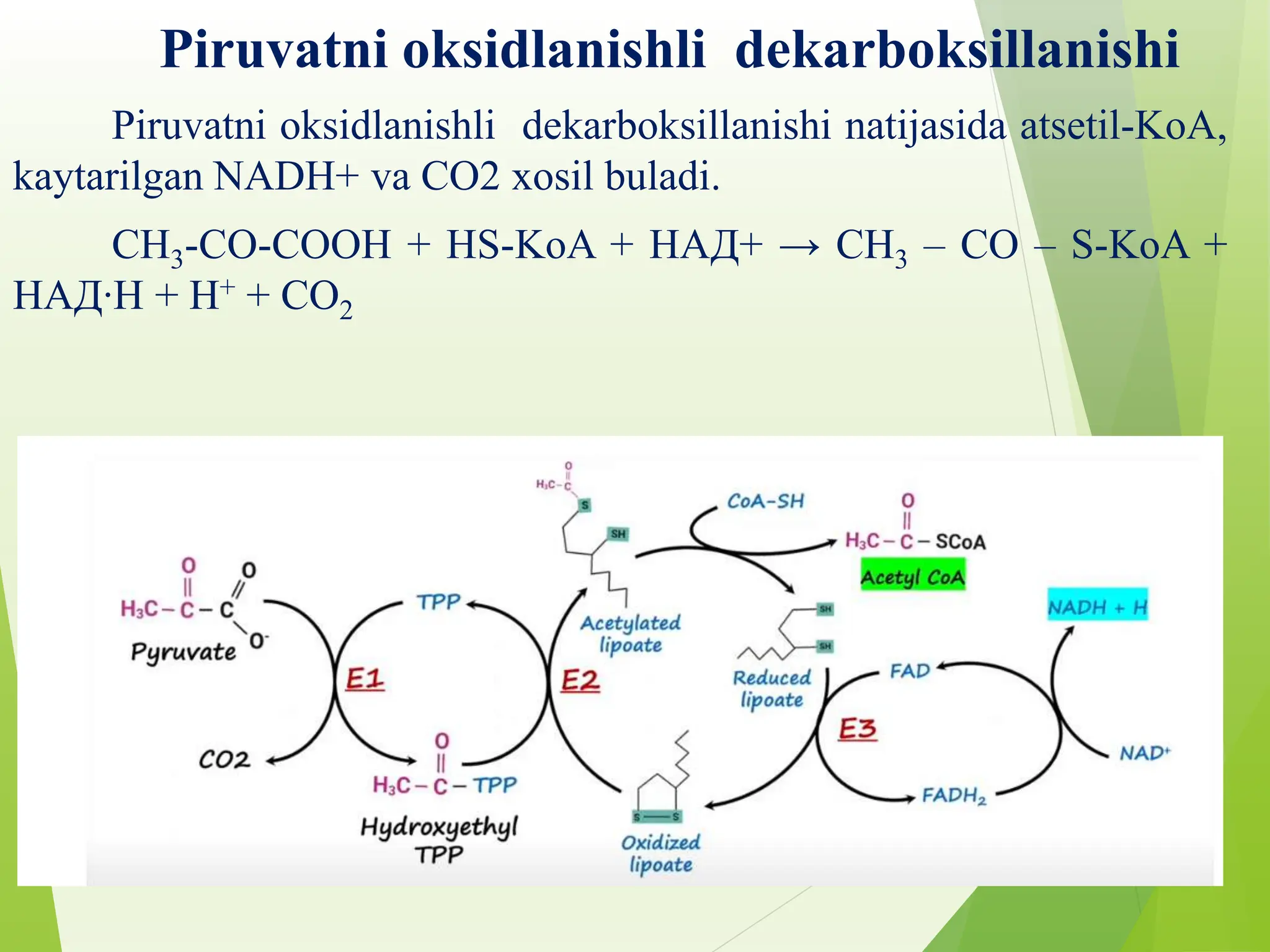 piruvat-kislotaning-oksidativ-dekarboksillanishi-pptx