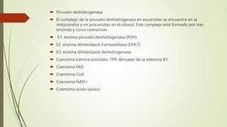 Piruvato a acetil coa.pptx