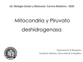 Mitocondria y Piruvato
deshidrogenasa
Departamento de Bioquímica
Facultad de Medicina- Universidad de la República
UC: Biología Celular y Molecular- Carrera Medicina - 2020
 