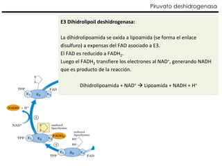 Piruvato deshidrogenasa pdf clase medicina PPT