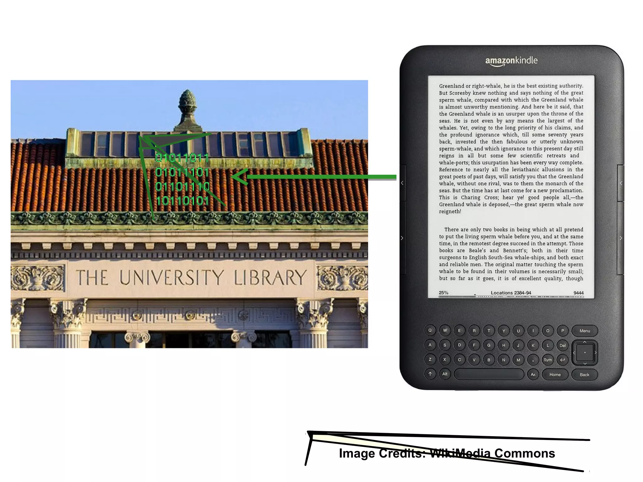 Image Credits: WikiMedia Commons
 