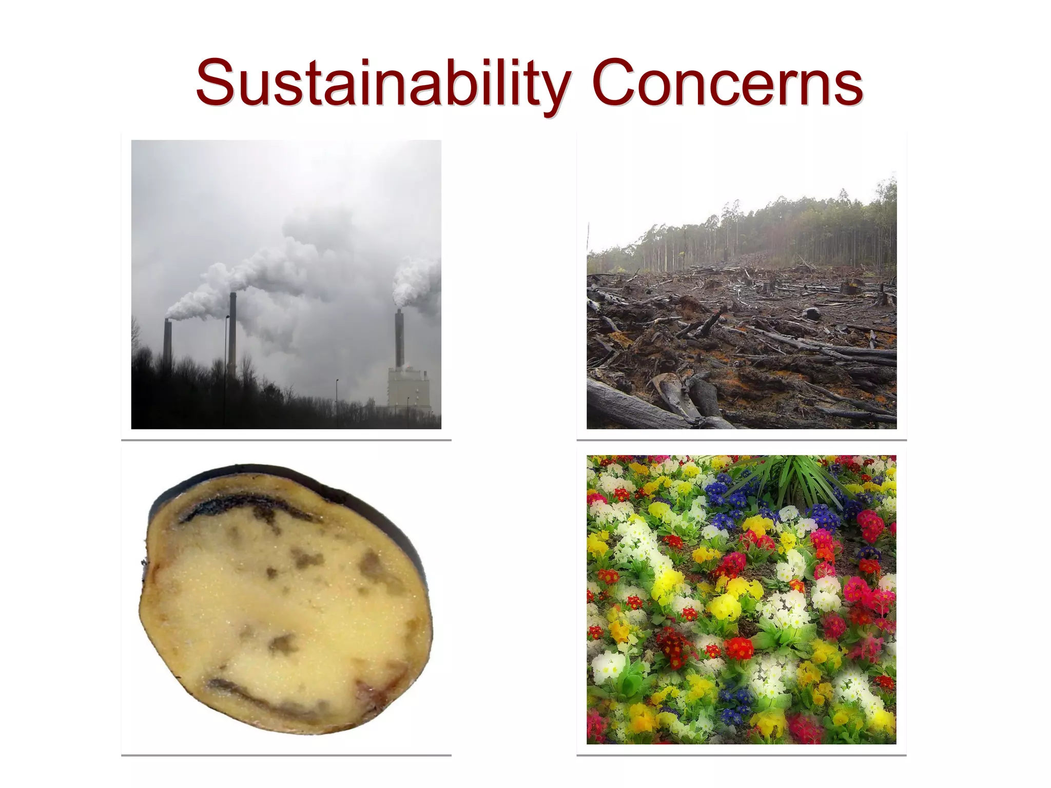 Sustainability ConcernsSustainability Concerns
 