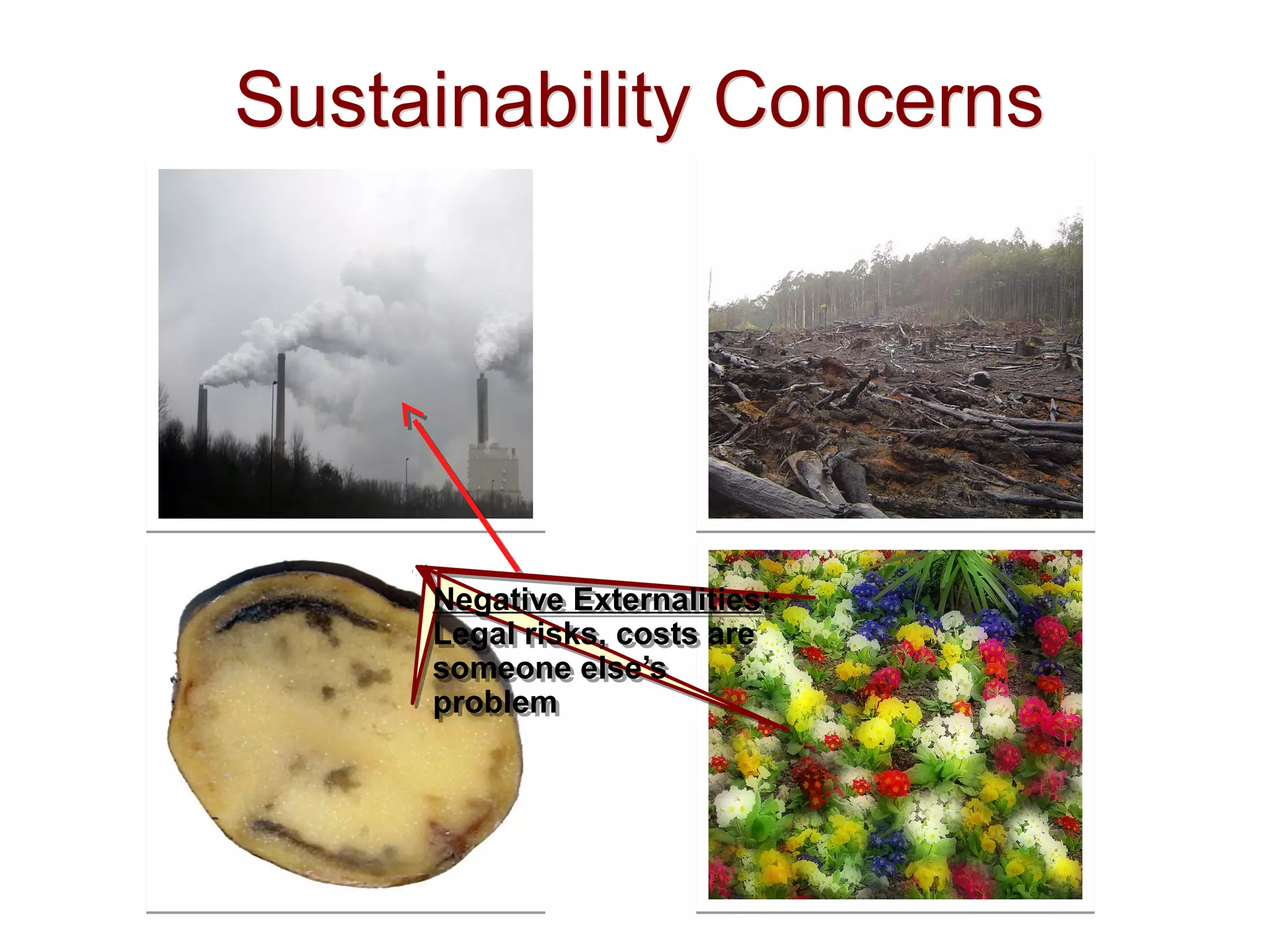 Sustainability ConcernsSustainability Concerns
Negative Externalities:
Legal risks, costs are
someone else’s
problem
Negative Externalities:
Legal risks, costs are
someone else’s
problem
 