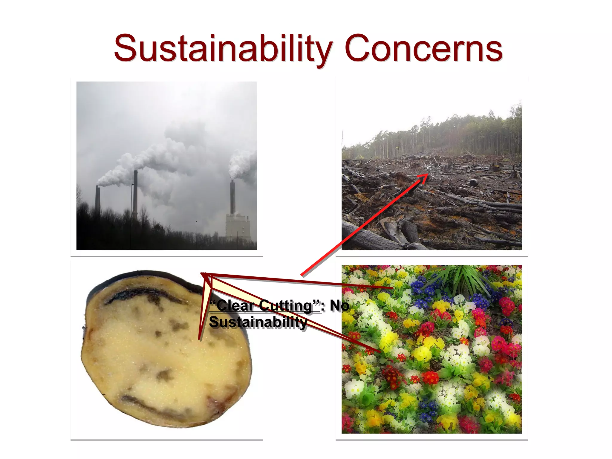 Sustainability ConcernsSustainability Concerns
“Clear Cutting”: No
Sustainability
“Clear Cutting”: No
Sustainability
 