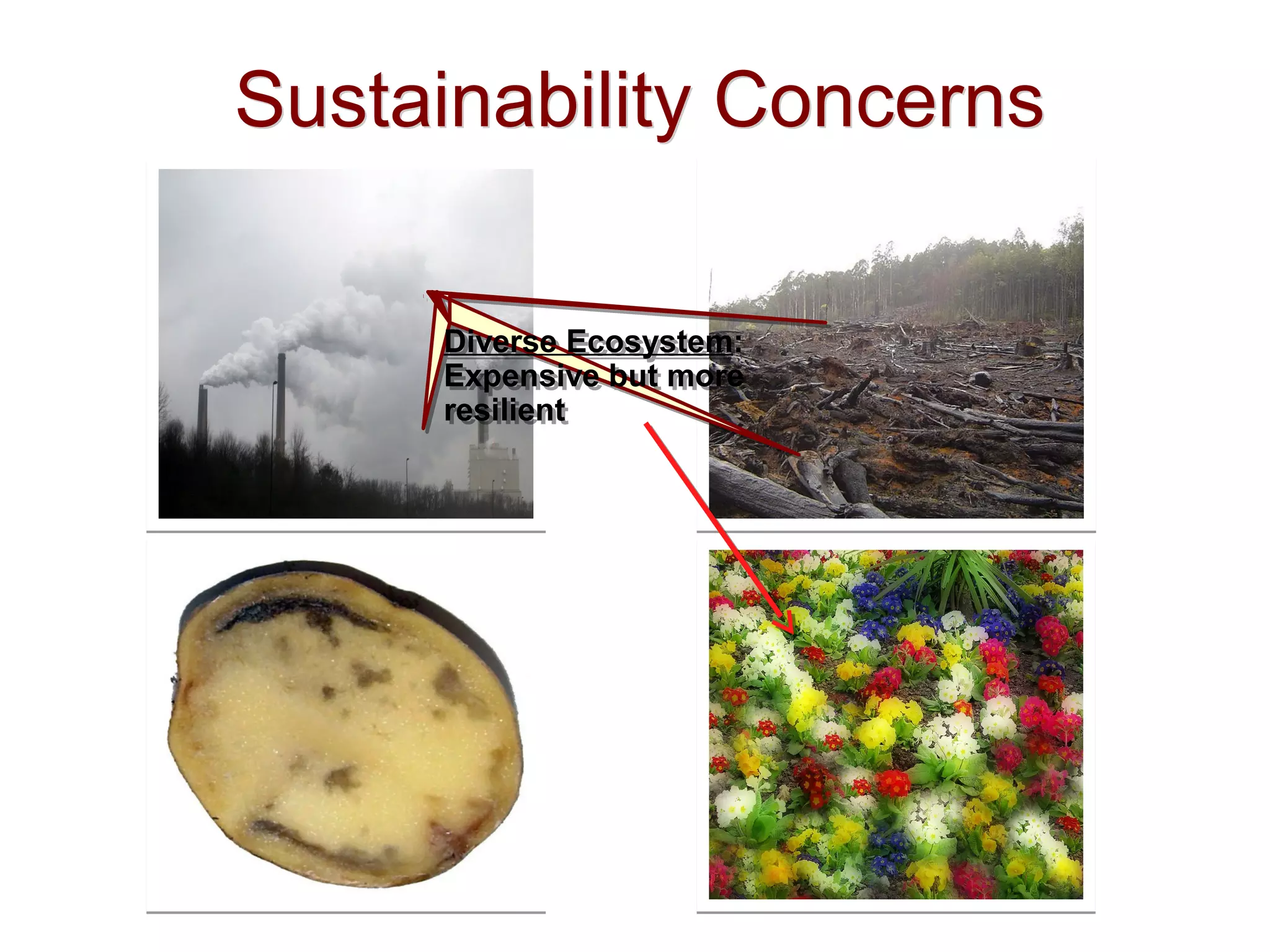 Sustainability ConcernsSustainability Concerns
Diverse Ecosystem:
Expensive but more
resilient
Diverse Ecosystem:
Expensive but more
resilient
 