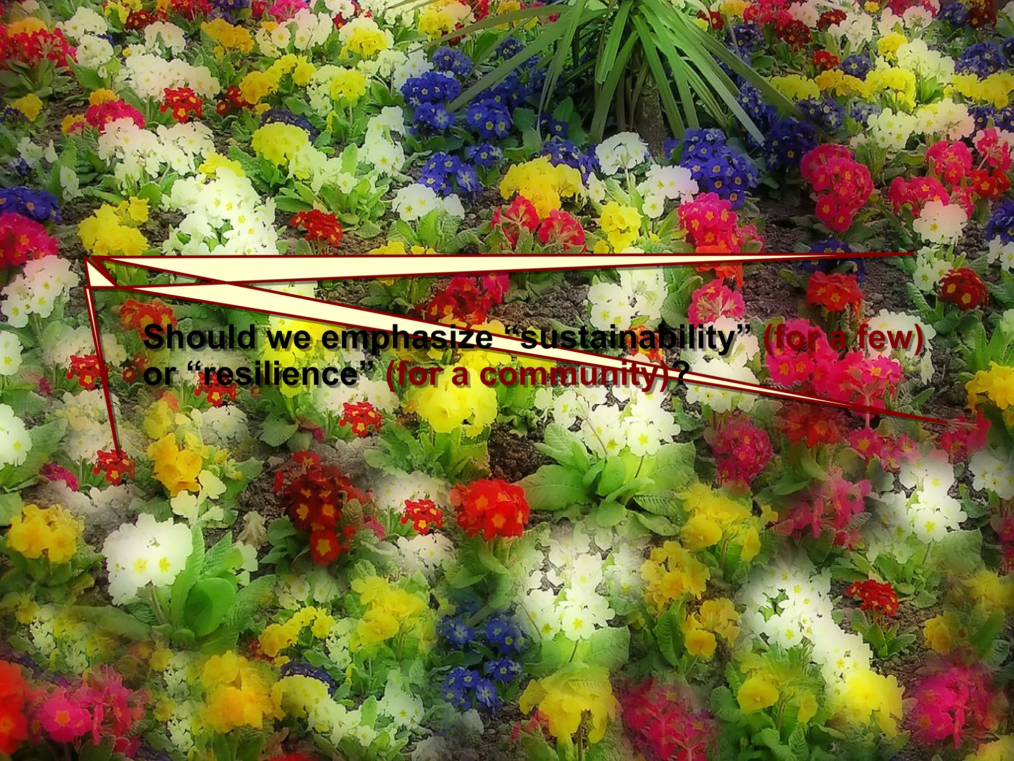 Thousand FlowersThousand Flowers
Should we emphasize “sustainability” (for a few)
or “resilience” (for a community)?
Should we emphasize “sustainability” (for a few)
or “resilience” (for a community)?
 
