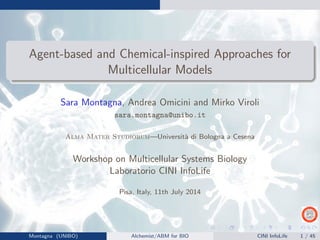 Agent-based and Chemical-inspired Approaches for
Multicellular Models
Sara Montagna, Andrea Omicini and Mirko Viroli
sara.montagna@unibo.it
Alma Mater Studiorum—Universit`a di Bologna a Cesena
Workshop on Multicellular Systems Biology
Laboratorio CINI InfoLife
Pisa, Italy, 11th July 2014
Montagna (UNIBO) Alchemist/ABM for BIO CINI InfoLife 1 / 45
 