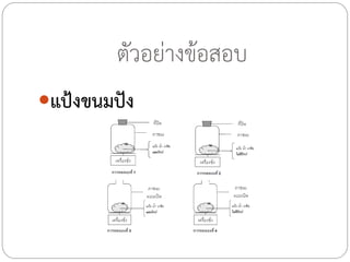 ตัวอย่างข้อสอบ
แป้งขนมปัง

 