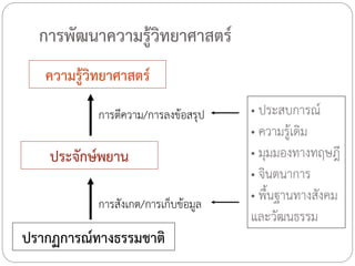 การพัฒนาความรู้วิทยาศาสตร์
ความรู้วิทยาศาสตร์
การตีความ/การลงข้อสรุป

ประจักษ์พยาน
การสังเกต/การเก็บข้อมูล

ปรากฏการณ์ทางธรรมชาติ

• ประสบการณ์
• ความรู้เดิม
• มุมมองทางทฤษฎี
• จินตนาการ
• พื้นฐานทางสังคม
และวัฒนธรรม

 