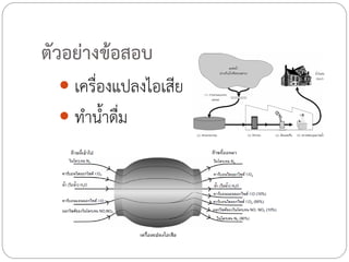 ตัวอย่างข้อสอบ
 เครื่องแปลงไอเสีย
 ท้าน้้าดื่ม

 