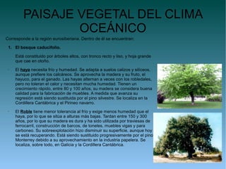 PAISAJE VEGETAL DEL CLIMA
                 OCEÁNICO
Corresponde a la región eurosiberiana. Dentro de él se encuentran:

 1. El bosque caducifolio.

     Está constituido por árboles altos, con tronco recto y liso, y hoja grande
     que cae en otoño.
 •   El haya necesita frío y humedad. Se adapta a suelos calizos y silíceos,
     aunque prefiere los calcáreos. Se aprovecha la madera y su fruto, el
     hayuco, para el ganado. Las hayas alternan a veces con los robledales,
     pero no toleran el calor y necesitan mucha humedad. Tienen un
     crecimiento rápido, entre 80 y 100 años, su madera se considera buena
     calidad para la fabricación de muebles. A medida que avanza su
     regresión está siendo sustituida por el pino silvestre. Se localiza en la
     Cordillera Cantábrica y el Pirineo navarro.
 •   El Roble tiene menor tolerancia al frío y exige menos humedad que el
     haya, por lo que se sitúa a alturas más bajas. Tardan entre 150 y 300
     años, por lo que su madera es dura y ha sido utilizada por traviesas de
     ferrocarril, construcción de barcos, de toneles, muebles vigas y para
     carboneo. Su sobreexplotación hizo disminuir su superficie, aunque hoy
     se está recuperando. Está siendo sustituido progresivamente por el pino
     Monterrey debido a su aprovechamiento en la industria papelera. Se
     localiza, sobre todo, en Galicia y la Cordillera Cantábrica.
 