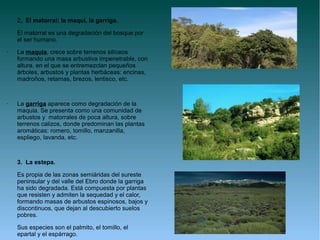 2. El matorral: la maqui, la garriga.

    El matorral es una degradación del bosque por
    el ser humano.
•   La maquia, crece sobre terrenos silíceos
    formando una masa arbustiva impenetrable, con
    altura, en el que se entremezclan pequeños
    árboles, arbustos y plantas herbáceas: encinas,
    madroños, retamas, brezos, lentisco, etc.


•   La garriga aparece como degradación de la
    maquia. Se presenta como una comunidad de
    arbustos y matorrales de poca altura, sobre
    terrenos calizos, donde predominan las plantas
    aromáticas: romero, tomillo, manzanilla,
    espliego, lavanda, etc.



    3. La estepa.

    Es propia de las zonas semiáridas del sureste
    peninsular y del valle del Ebro donde la garriga
    ha sido degradada. Está compuesta por plantas
    que resisten y admiten la sequedad y el calor,
    formando masas de arbustos espinosos, bajos y
    discontinuos, que dejan al descubierto suelos
    pobres.

    Sus especies son el palmito, el tomillo, el
    epartal y el espárrago.
 
