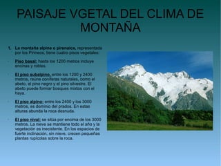 PAISAJE VGETAL DEL CLIMA DE
             MONTAÑA
1. La montaña alpina o pirenaica, representada
   por los Pirineos, tiene cuatro pisos vegetales:
•   Piso basal: hasta los 1200 metros incluye
    encinas y robles.
•   El piso subalpino, entre los 1200 y 2400
    metros, reúne coníferas naturales, como el
    abeto, el pino negro y el pino silvestre. El
    abeto puede formar bosques mixtos con el
    haya.
•   El piso alpino: entre los 2400 y los 3000
    metros, es dominio del prados. En estas
    alturas abunda la roca desnuda.
•   El piso nival: se sitúa por encima de los 3000
    metros. La nieve se mantiene todo el año y la
    vegetación es inecistente. En los espacios de
    fuerte inclinación, sin nieve, crecen pequeñas
    plantas rupícolas sobre la roca.
 