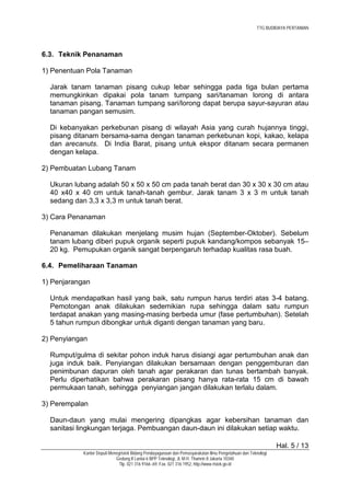 Revolusi Bertani: Teknik Jitu Menanam dan Merawat Sayur Daun Organik untuk Desa Tayem yang Sehat dan Lestari
