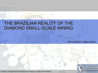 THE BRAZILIAN REALITY OF THE DIAMOND SMALL-SCALE MINING JOSÉ RICARDO THIBES PISANI 